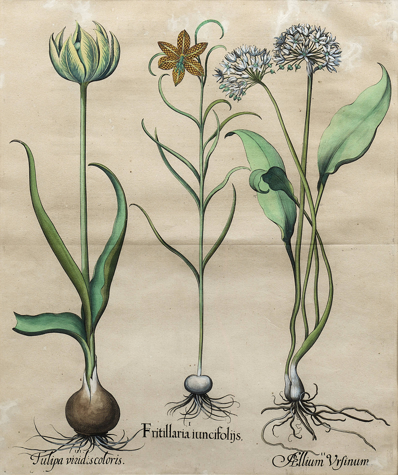 Olympia Timed: Paintings, Works on Paper and Sculpture