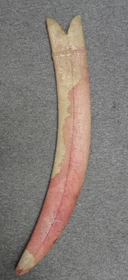 Lot 21 - AN INDIAN SCABBARD FOR AN EXECUTIONER'S SWORD (TEGHA)