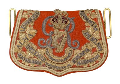Lot 631 - AN IRISH HUSSAR POUCH
