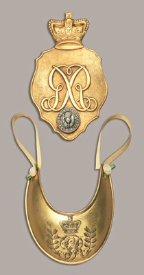 Lot 108 - AN OFFICER'S GORGET AND SHAKO PLATE
