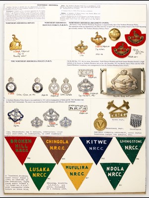 Lot 10 - Insignia of Rhodesia