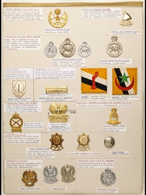 Lot 25 - Indian Ocean and Pacific Forces Insignia