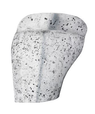 Lot 217 - â€¡ A GUARDBRACE FOR THE RIGHT SHOULDER