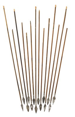 Lot 207 - FOURTEEN INDIAN ARROWS