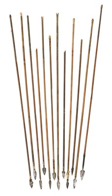 Lot 208 - TWELVE INDIAN ARROWS