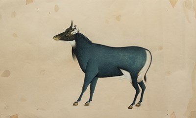 Lot 214 - A COMPANY SCHOOL PAINTING OF A NILGAI, BENGAL, INDIA, CIRCA 1800