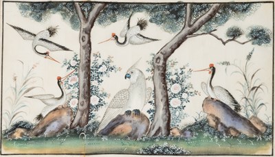 Lot 107 - A SET OF FIVE CHINESE SCHOOL WATERCOLOUR ON PITH PAPER PAINTINGS OF BIRDS, QING DYNASTY 19TH CENTURY