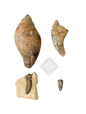 Lot 385 - FOUR FOSSILISED PIECES AND A CARVED ROCK CRYSTAL OCTAHEDRON