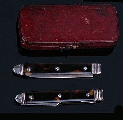 Lot 385 - A GEORGE III SILVER AND TORTOISESHELL-MOUNTED TRAVELLING FRUIT KNIFE AND FORK SET