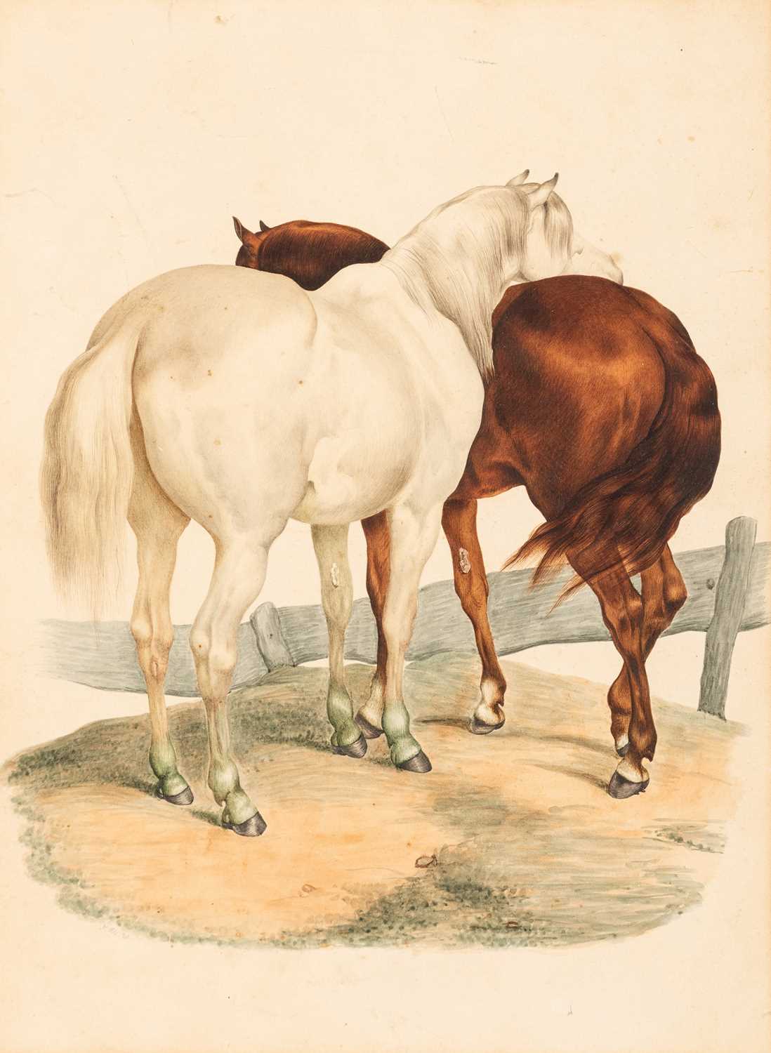 Lot 51 - FRENCH SCHOOL (19th CENTURY)