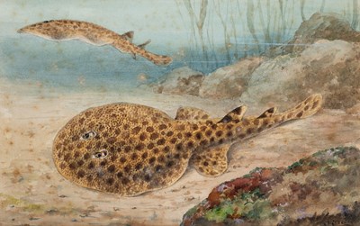 Lot 299 - ATTRIBUTED TO JOSIAH GREEN (fl.1862-1868)