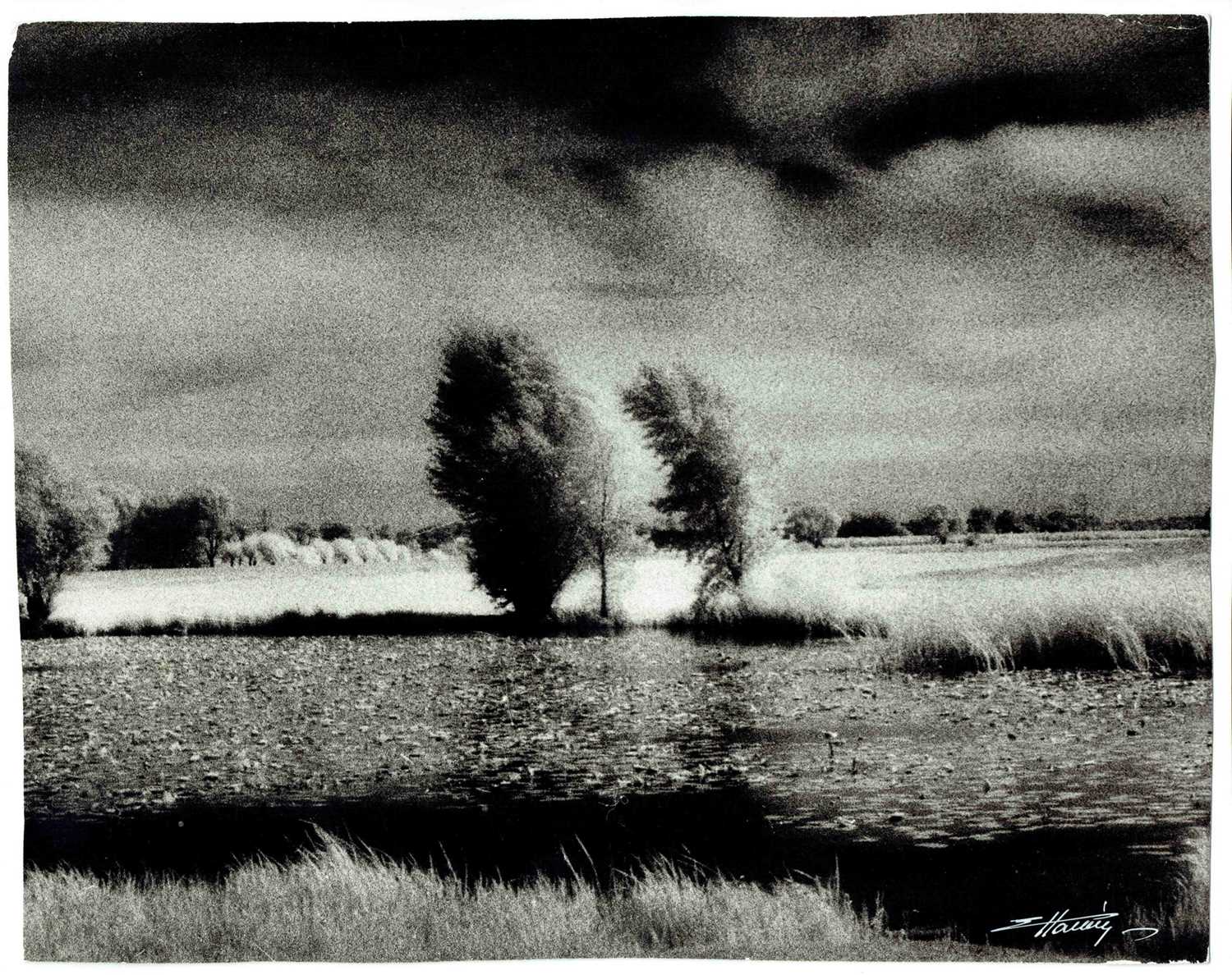 Lot 283 - â€¢EDWARD HARTWIG (1909-2003)