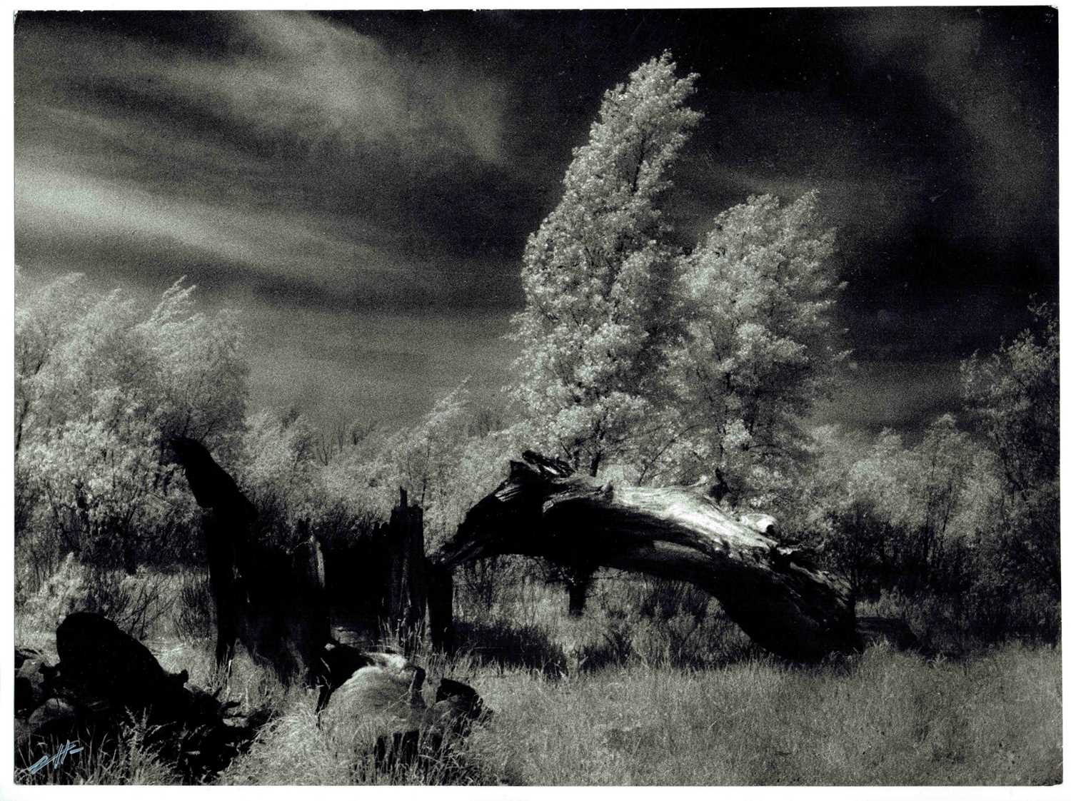 Lot 286 - â€¢EDWARD HARTWIG (1909-2003)