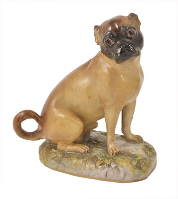 Lot 7 - A MEISSEN MODEL OF A PUG