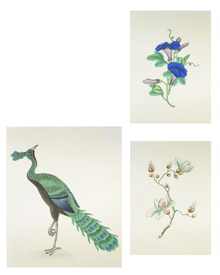 Lot 70 - THREE CHINESE GOUACHE PAINTINGS