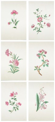 Lot 71 - SIX CHINESE GOUACHE FLOWER PAINTINGS