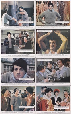 Lot 231 - ROCKY