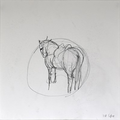 Lot 37 - CIRCUS PONY