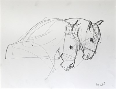 Lot 38 - THE DONNERTS HORSES