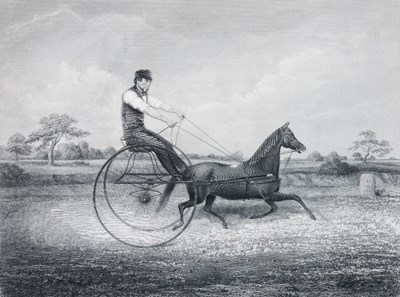 Lot 5 - *AFTER HIND