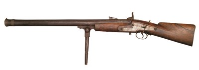 Lot 349 - A LARGE 4 BORE PERCUSSION CAMEL GUN (JUJARBA)