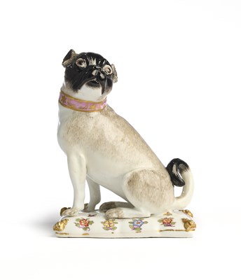 Lot 15 - A MEISSEN FIGURE OF A PUG, MID 18TH CENTURY
