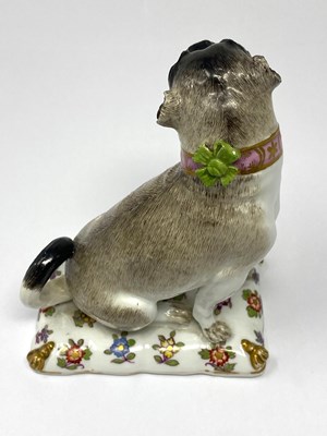 Lot 15 - A MEISSEN FIGURE OF A PUG, MID 18TH CENTURY