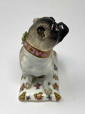 Lot 15 - A MEISSEN FIGURE OF A PUG, MID 18TH CENTURY