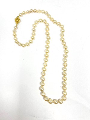 Lot 488 - THREE CULTURED PEARL NECKLACES