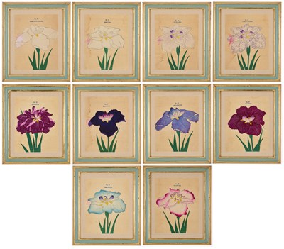 Lot 149 - A GROUP OF TEN JAPANESE HAND-COLOURED BOTANICAL WOODBLOCK PRINTS, CIRCA 1890