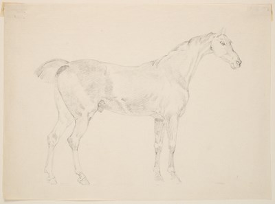Lot 65 - SAMUEL DANIELL (BRITISH 1775-1811)
