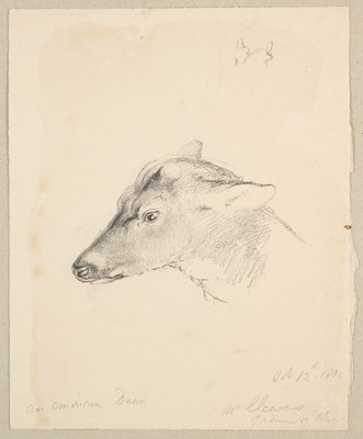 Lot 66 - ROBERT HILLS (BRITISH 1769-1844)