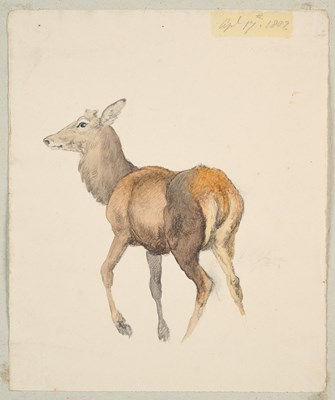Lot 66 - ROBERT HILLS (BRITISH 1769-1844)