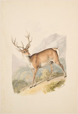 Lot 63 - WILLIAM SAMUEL HOWITT (BRITISH c. 1756-1822)