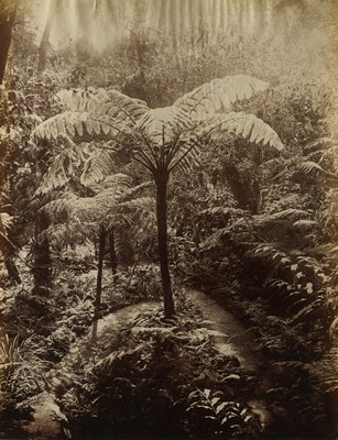 Lot 584 - A MISCELLANEOUS COLLECTION OF PHOTOGRAPHS OF COLONIAL CEYLON (SRI LANKA), MOSTLY 19TH CENTURY