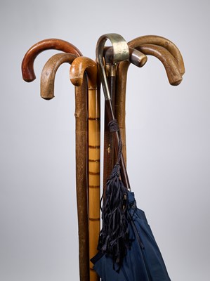 Lot 58 - A GROUP OF JOHN OSBORNE'S WALKING STICKS AND AN UMBRELLA