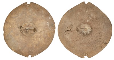 Lot 374 - TWO AFRICAN CIRCULAR HIDE SHIELDS, LATE 19TH CENTURY