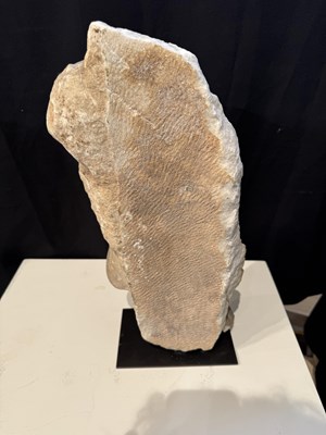 Lot 80 - A ROMAN MARBLE RELIEF FRAGMENT DEPICTING A DANCING SATYR, 2ND/3RD CENTURY A.D.
