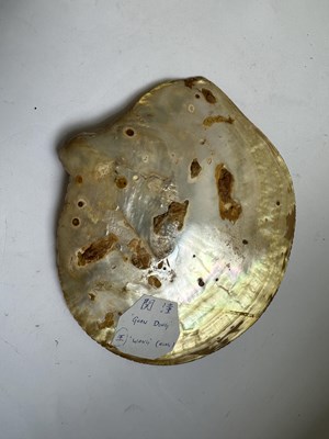 Lot 111 - A CHINESE CARVED MOTHER-OF-PEARL SHELL, LATE QING DYNASTY (1644-1911)