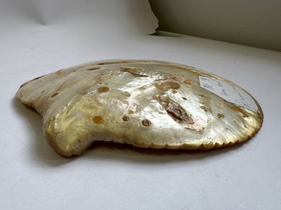 Lot 111 - A CHINESE CARVED MOTHER-OF-PEARL SHELL, LATE QING DYNASTY (1644-1911)