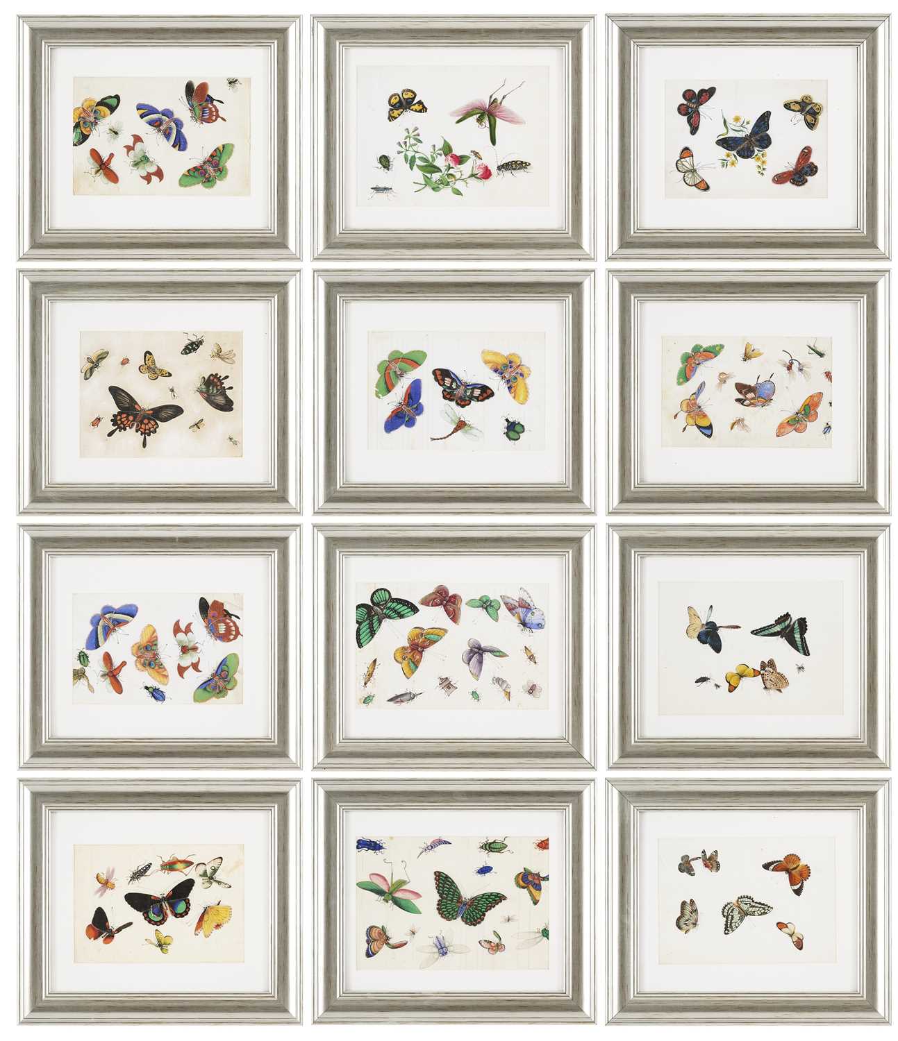 Lot 27 - TWELVE CHINESE EXPORT PAINTINGS OF BUTTERFLIES, QING DYNASTY, 19TH CENTURY