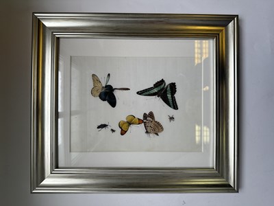 Lot 27 - TWELVE CHINESE EXPORT PAINTINGS OF BUTTERFLIES, QING DYNASTY, 19TH CENTURY