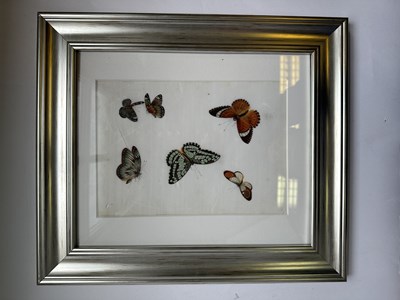 Lot 27 - TWELVE CHINESE EXPORT PAINTINGS OF BUTTERFLIES, QING DYNASTY, 19TH CENTURY