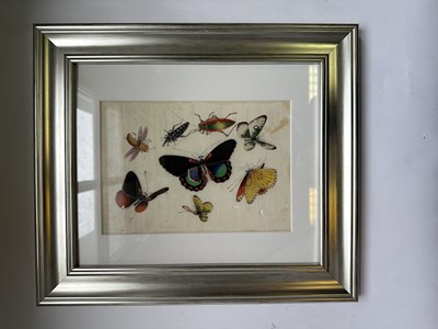Lot 27 - TWELVE CHINESE EXPORT PAINTINGS OF BUTTERFLIES, QING DYNASTY, 19TH CENTURY