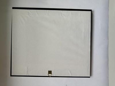 Lot 27 - TWELVE CHINESE EXPORT PAINTINGS OF BUTTERFLIES, QING DYNASTY, 19TH CENTURY