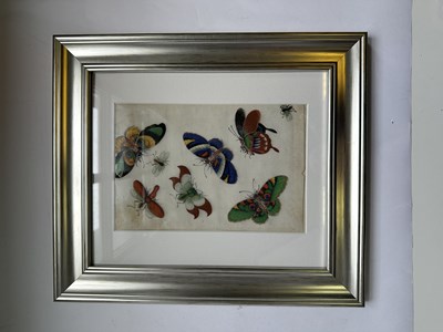 Lot 27 - TWELVE CHINESE EXPORT PAINTINGS OF BUTTERFLIES, QING DYNASTY, 19TH CENTURY