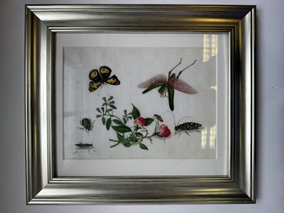 Lot 27 - TWELVE CHINESE EXPORT PAINTINGS OF BUTTERFLIES, QING DYNASTY, 19TH CENTURY