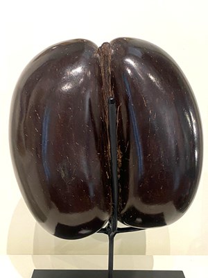 Lot 77 - A COCO DE MER (LODOICEA MALDIVICA), SEYCHELLES, 20TH CENTURY