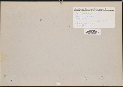 Lot 67 - ALBERT MANSER (SWISS 1937-2011)