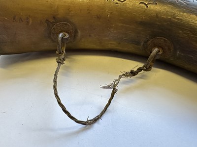 Lot 88 - A CHINESE BUFFALO HORN FLASK, QING DYNASTY, 19TH CENTURY